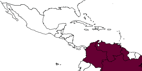 map of Tachytes rubioi     Bohart, 1979